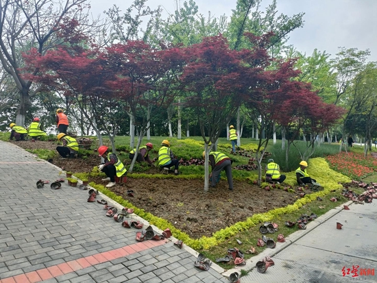 天府黃、錦官橙、太陽神鳥 成都三環路換上了新裝你注意到了嗎