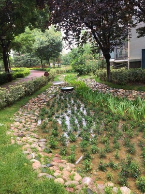 提高海綿城市建設工程質(zhì)量青島市舉辦施工人員培訓會|半島網(wǎng)