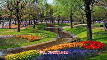 河源哪里有綠化工程_河源工廠綠化