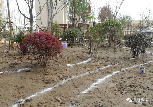 現場 微地形堆坡及綠化種植工藝標準