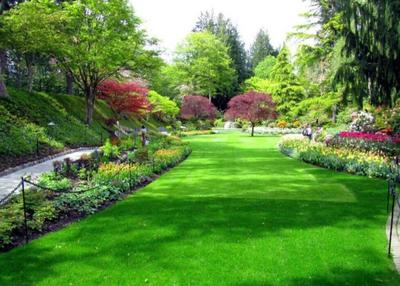 園林綠化養(yǎng)護都需要哪些資質