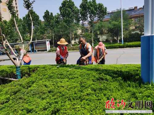 高新區 創建全國文明城市,園林人在行動